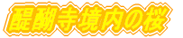 펛̍